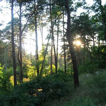 Jola Apartment Pobierowo