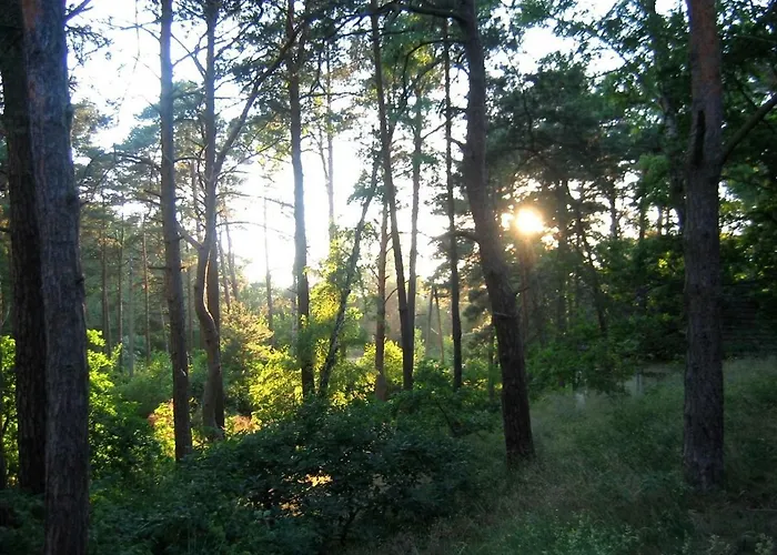 Jola Apartment Pobierowo